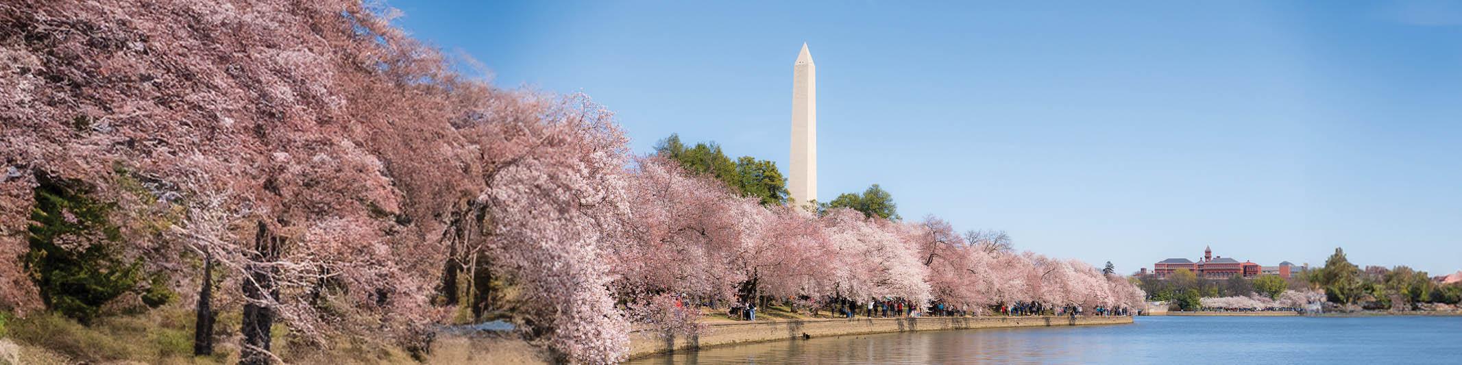 How to Spend 48 Hours in Washington, DC | Travel Associates