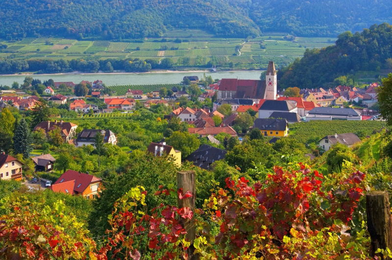 Sample local wines from the Spitz region. Image: Getty images