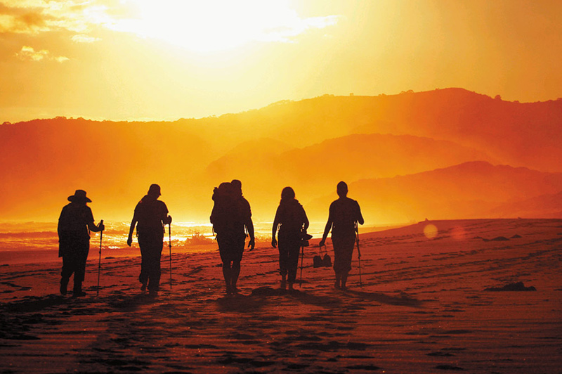 Groups are limited to a dozen like-minded travellers with a reasonable level of fitness. Image: Great Walks of Australia