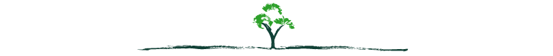 Tree Divider, Legacy by Travel Associates