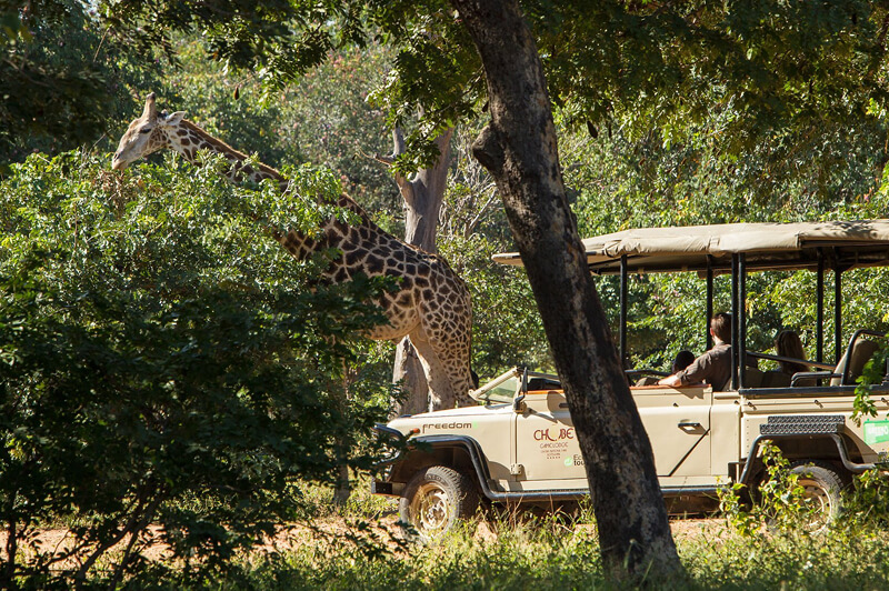 Chobe National Park game Lodge