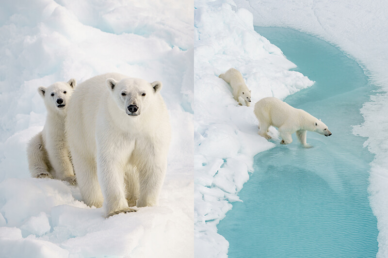 Ponant luxury North Pole cruise