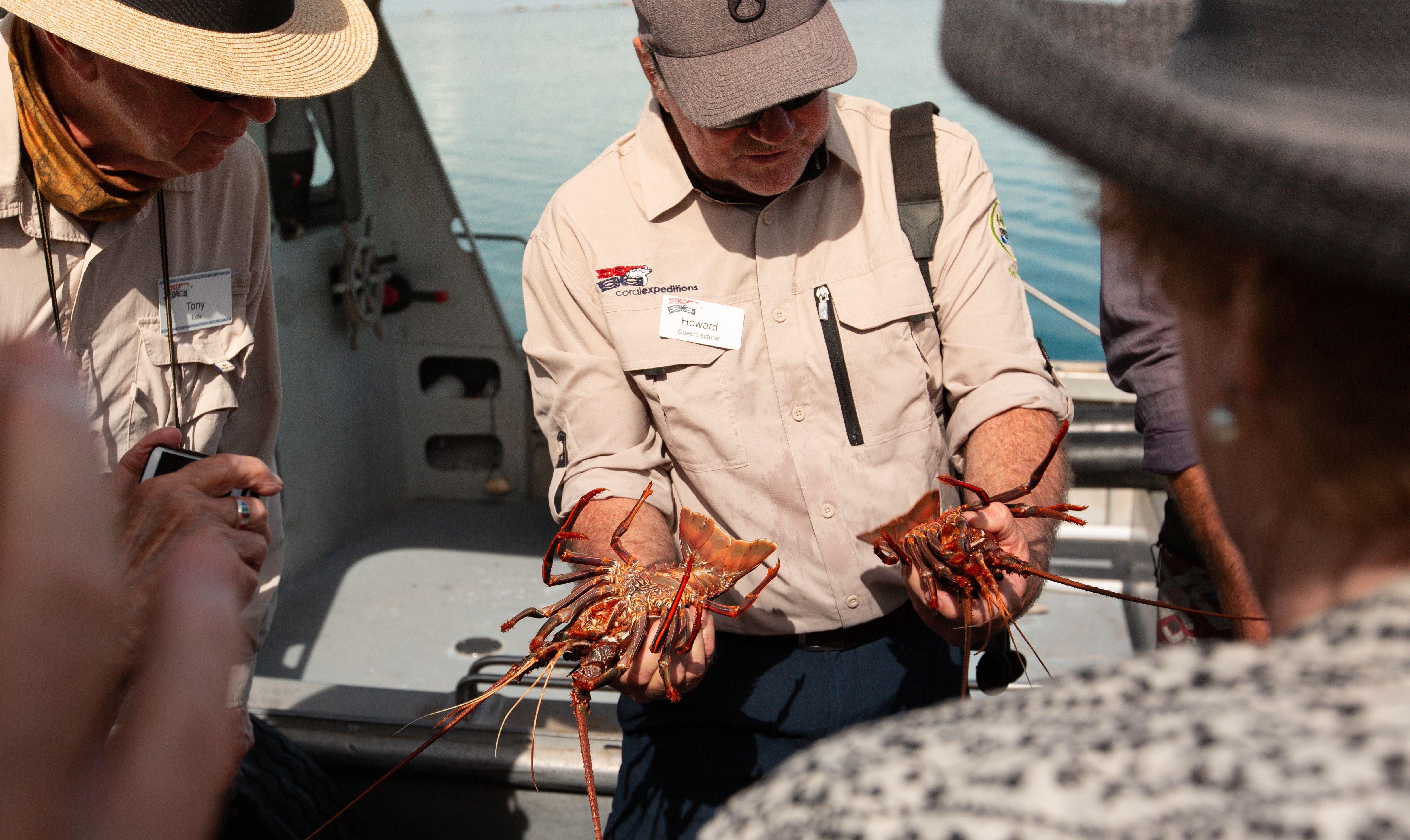 coral expedition luxury cruise fresh lobster at abrolhos islands