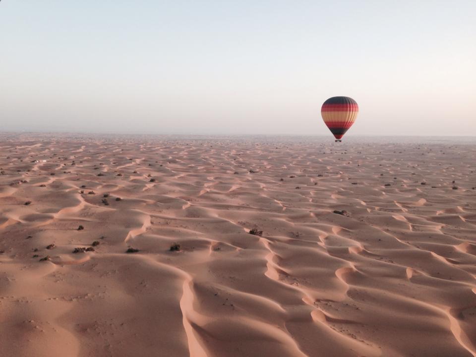 11351400_10206772757940341_368730522545399092_n