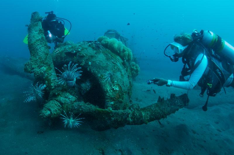 Exploring the wrecks in Solomons