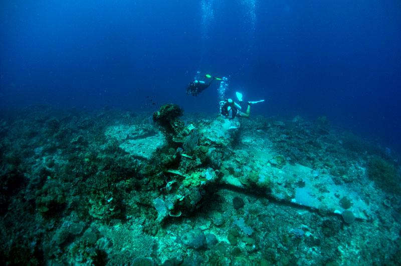 Dive beneath the surface in Solomon Islands Plane dive in Solomons