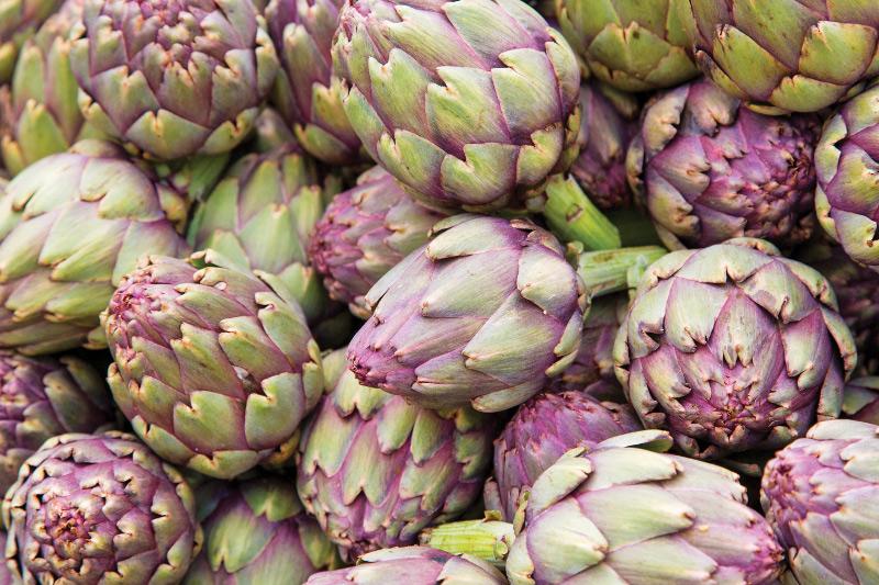 Artichokes Portland Oregon
