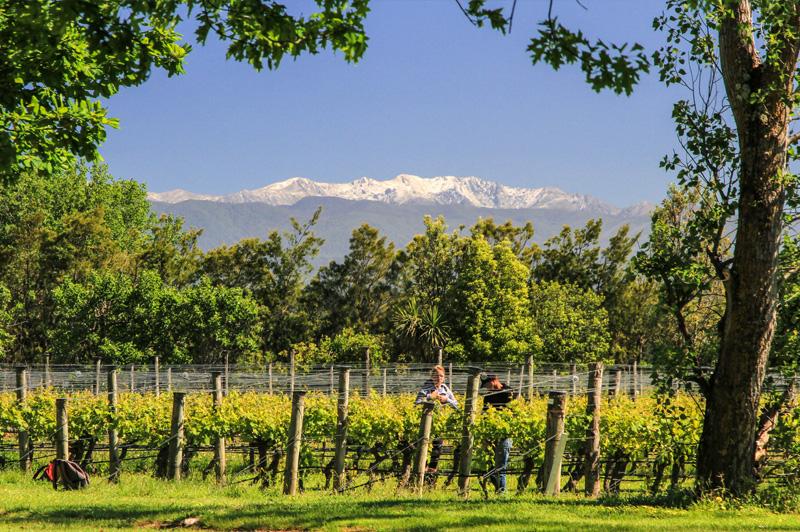 There are more that fifty wineries in the beautiful village of Martinborough. Image: Ata Rangi