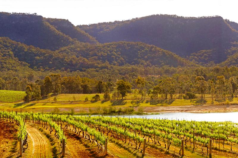 Audrey Wilkinson Vineyard in the Hunter Valley - the nation