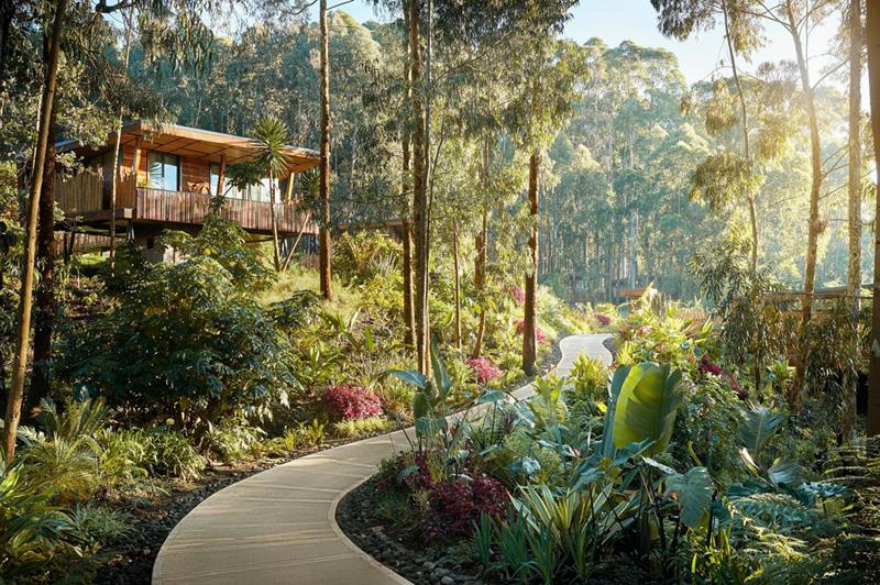 One&Only Gorilla's Nest Lodge, Rwanda