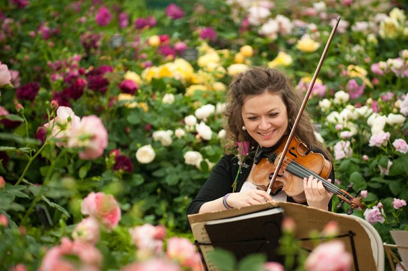 Chelsea Flower Show. Image: Keith Prowse Travel