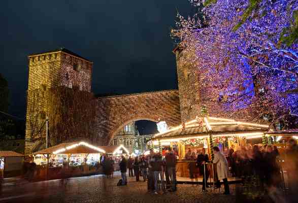 Travel Associates A Cruisey Christmas