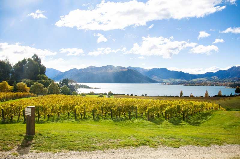 Travel Associates New Zealand: The Perfect Weekend Overseas Getaway