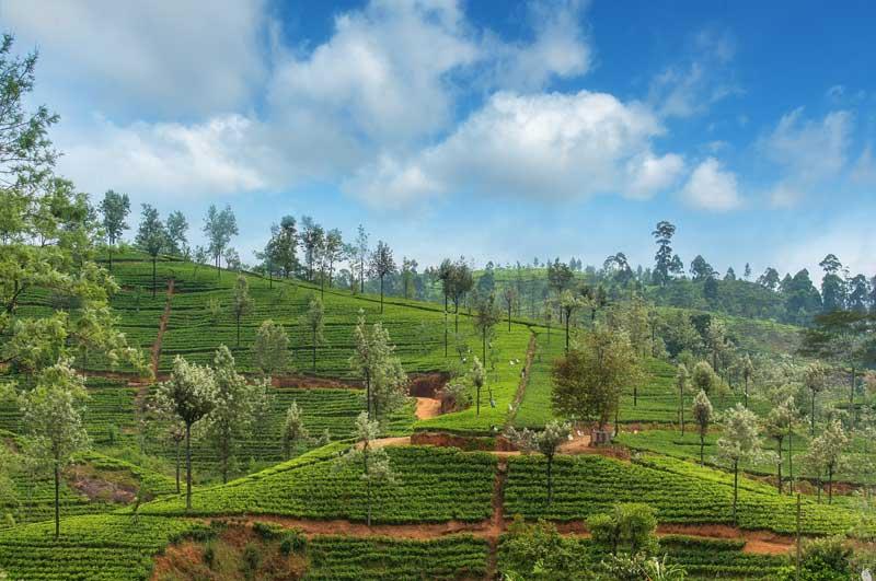 Travel Associates 3 Countries, Family Fun & Childhood Memories