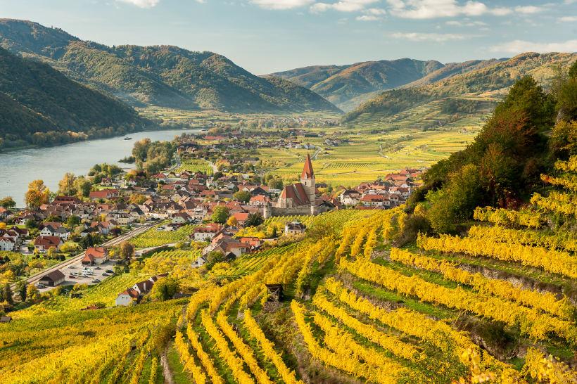 Travel Associates vineyards on hill with town below wachau valley austria