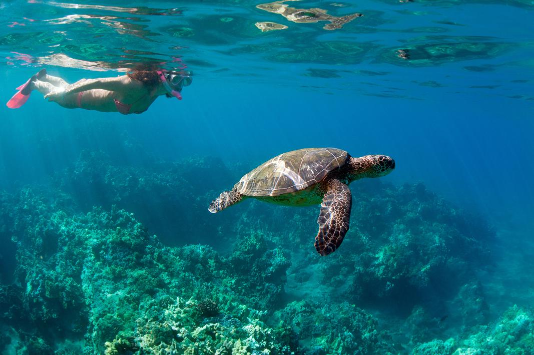 Travel Associates Uncovering the Hawaiian Islands