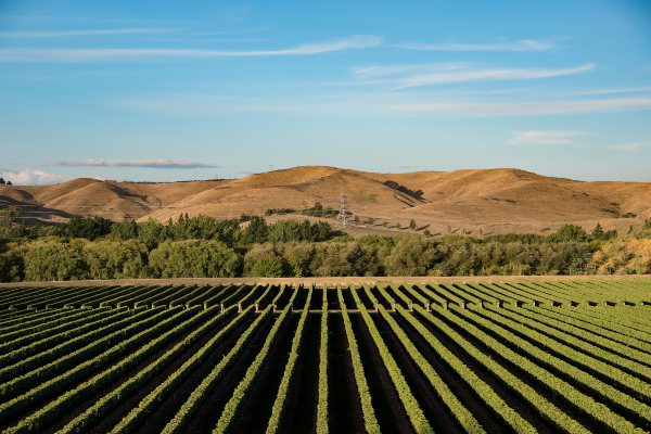 Travel Associates Keep dreaming of beautiful, natural New Zealand