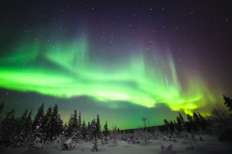 Travel Associates Travelling through northern Finland in winter