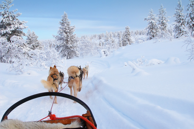Travel Associates Travelling through northern Finland in winter