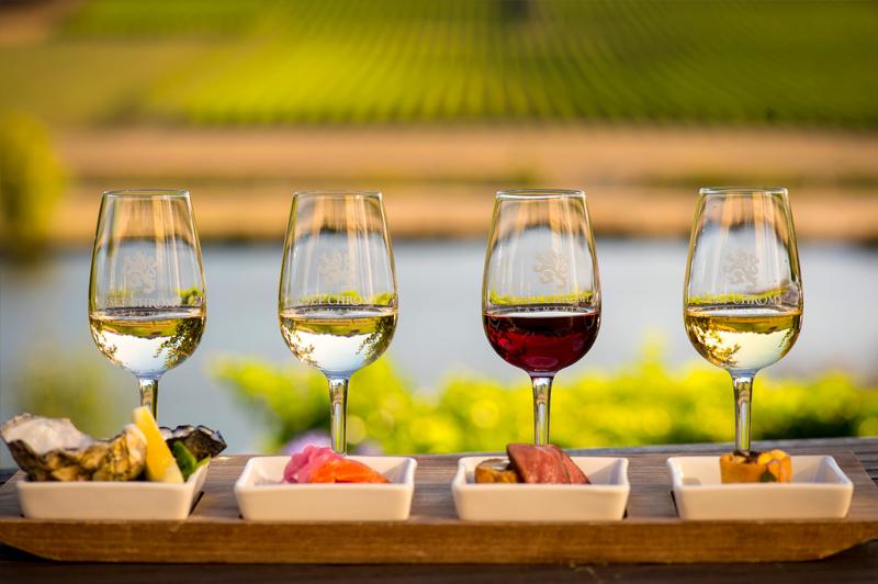 Selection of wines at Josef Chromy Winery.