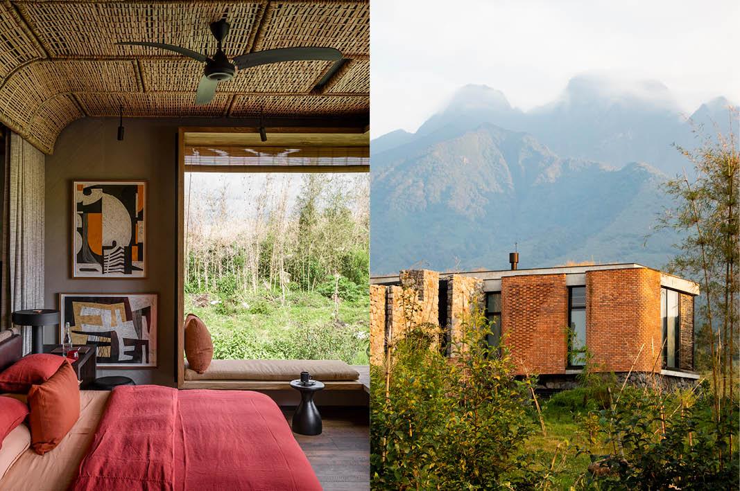 Travel Associates Advisor Experience: Gorilla Trekking in Rwanda with Singita