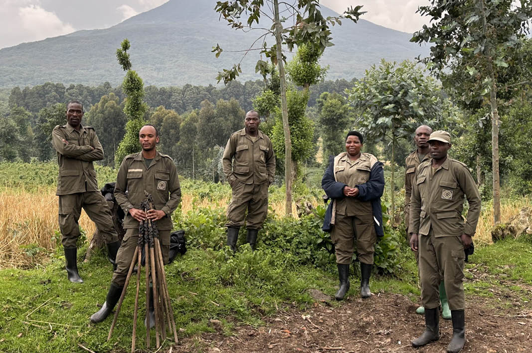 Travel Associates Advisor Experience: Gorilla Trekking in Rwanda with Singita