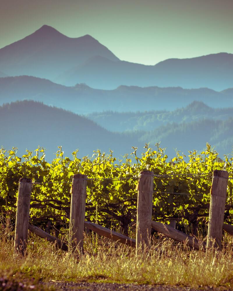 Travel Associates Food worth travelling forâ¯