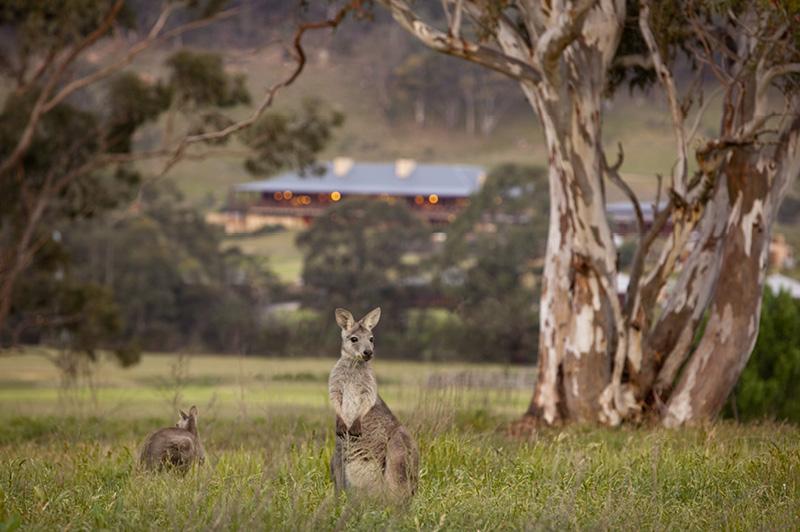 Travel Associates New South Wales, it's time for a State-cation