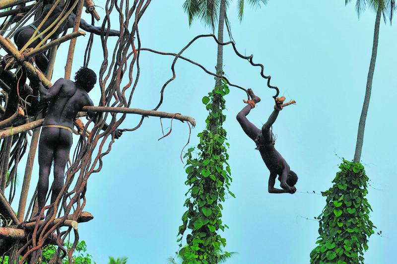 Naghol Land Diving, Pentecost Island, Vanuatu on 19 April 2016. Image: Getty
