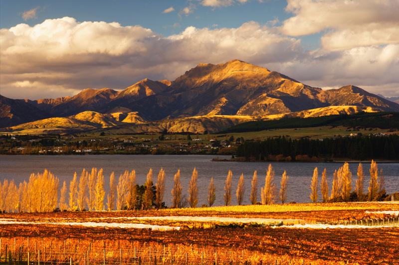 Vineyard and Lake Wanaka in Central Otago. Image: Jochen Schlenker