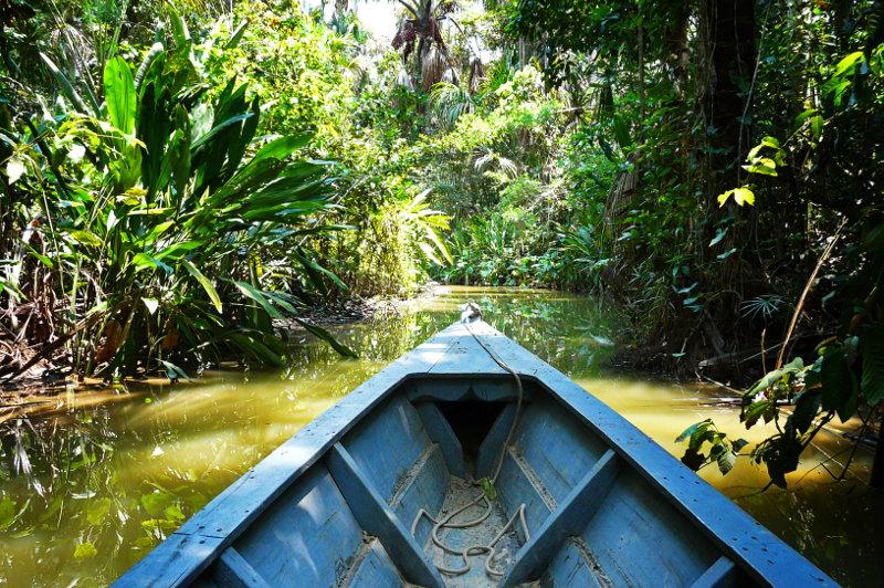 Amazon in Peru