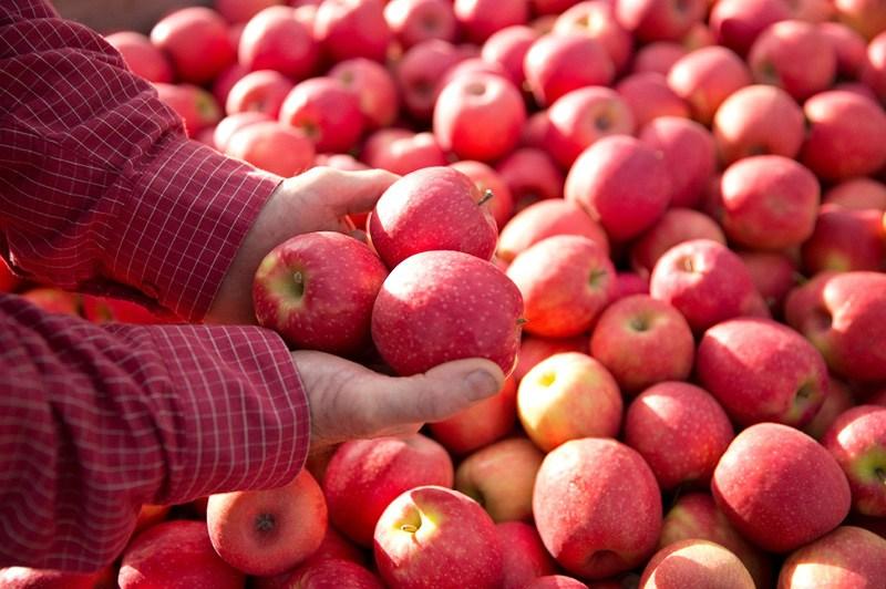 Travel Associates The Snowy Mountains Itinerary