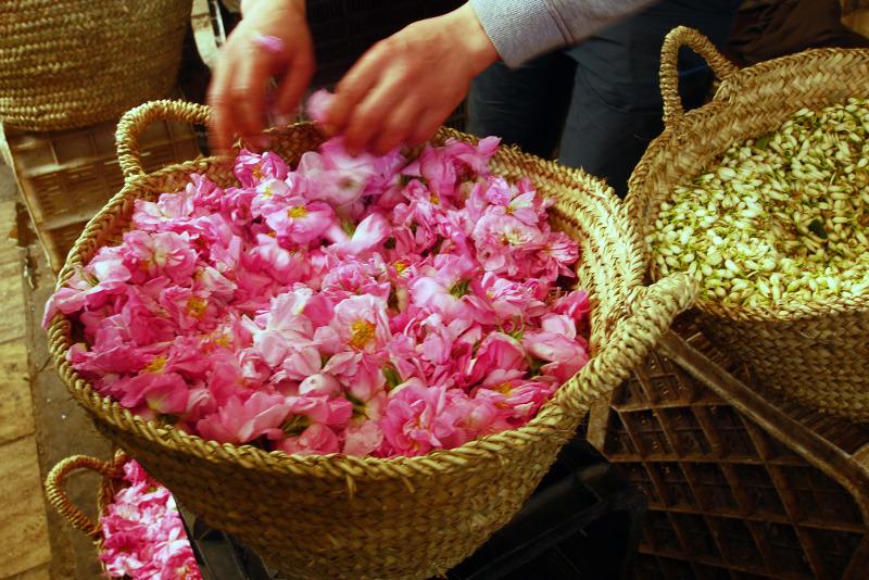 Festival of Roses Morocco