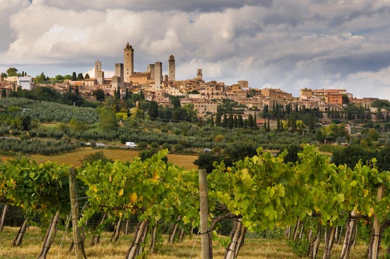 The vineyards surrounding San Gimignano, Italy. Image: Getty