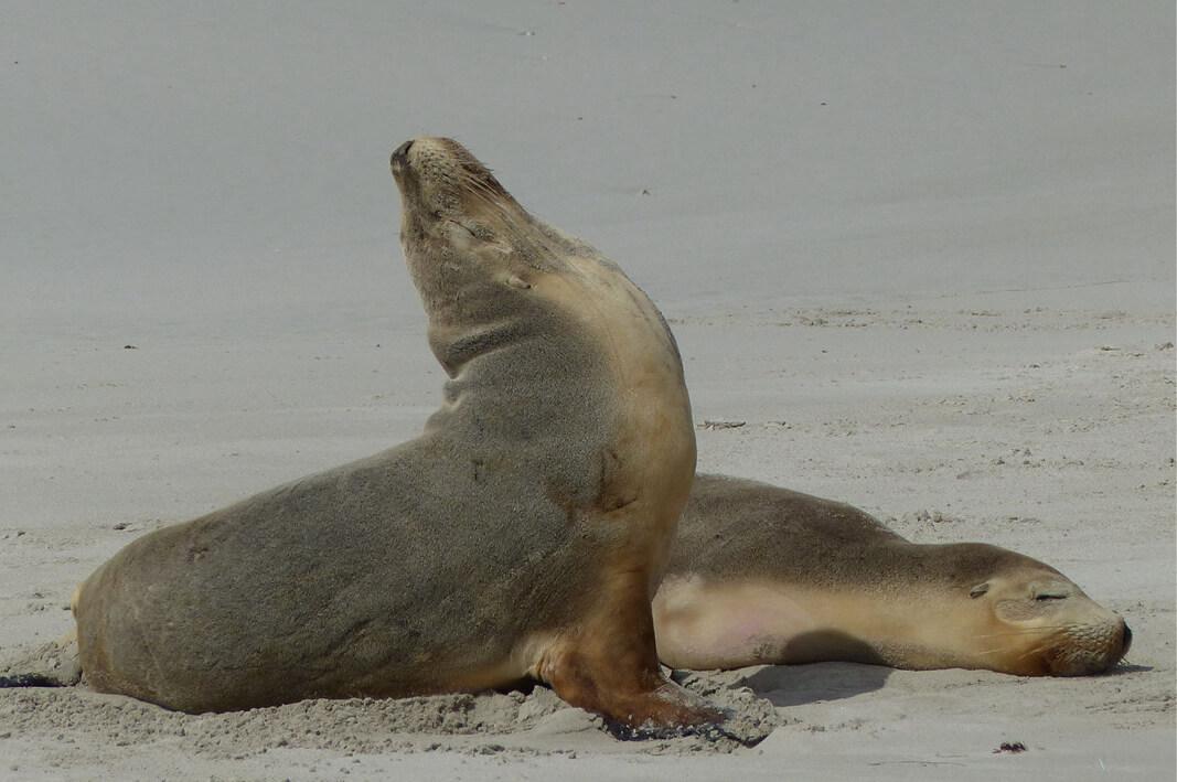 Travel Associates 10 reasons why South Australia should be your next luxury getaway