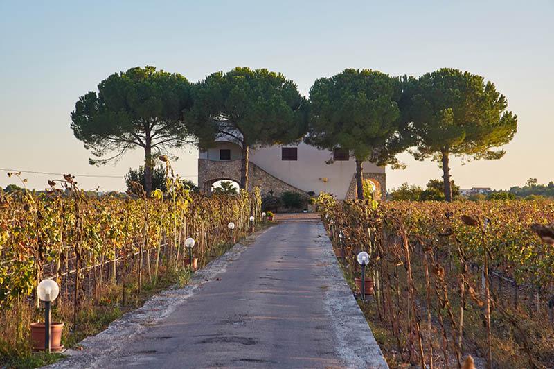 Travel Associates  Puglia: Italy's Newest Hot Spot 