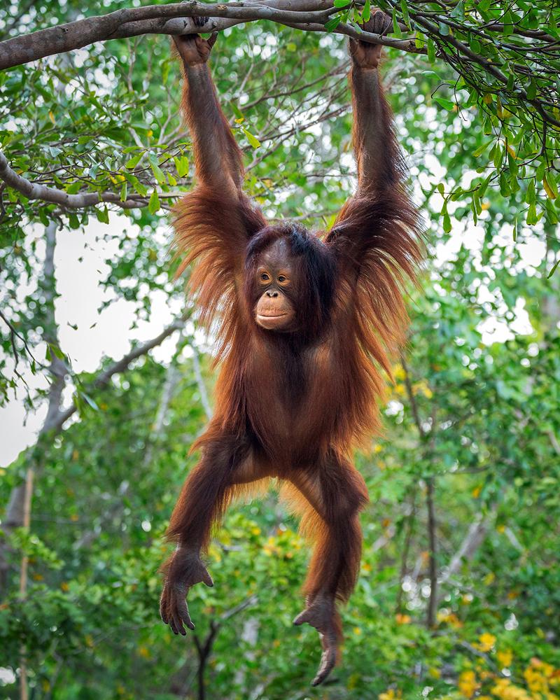 Travel Associates Hidden Gems of Asia