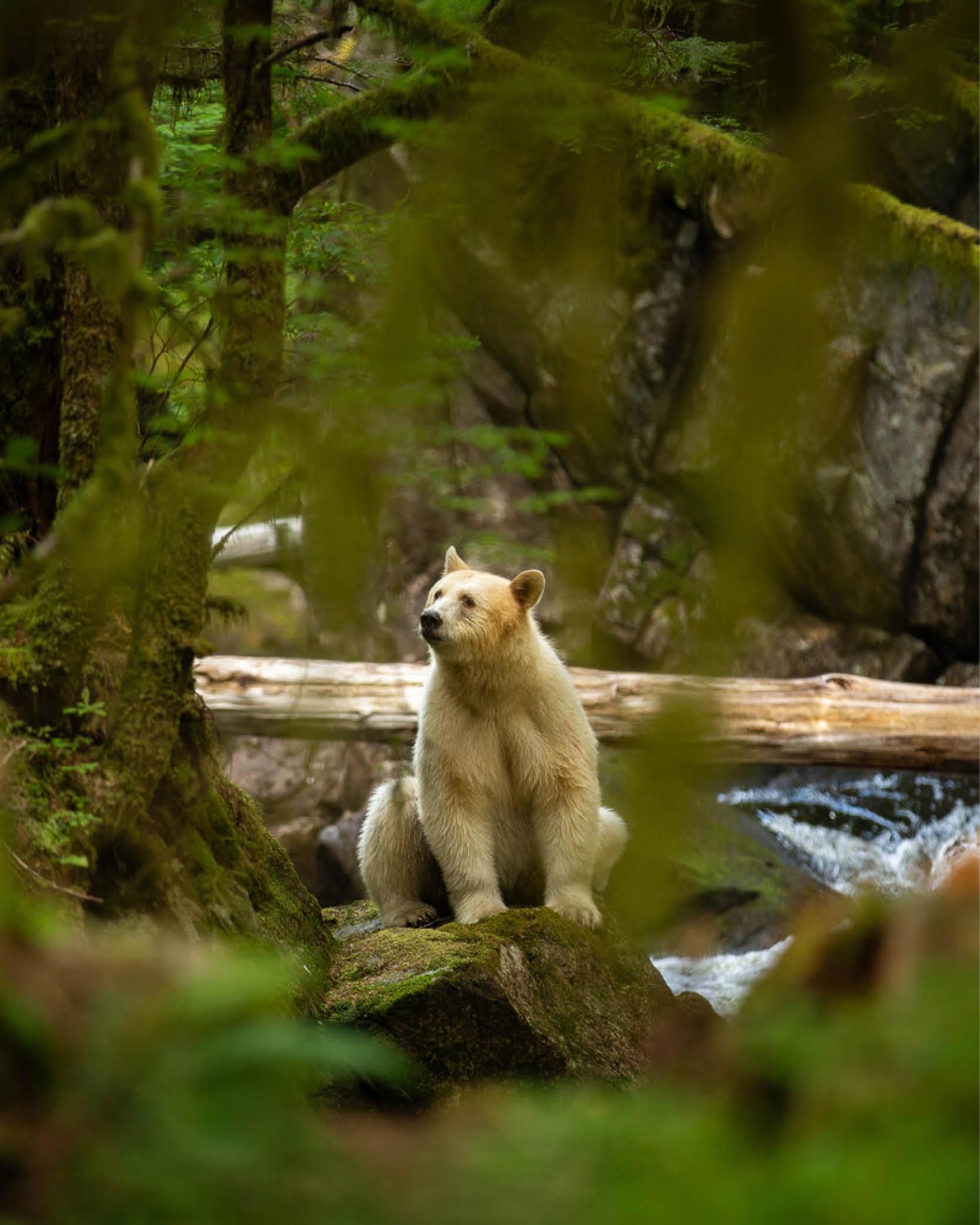 Travel Associates  One of kind experiences in Canada 