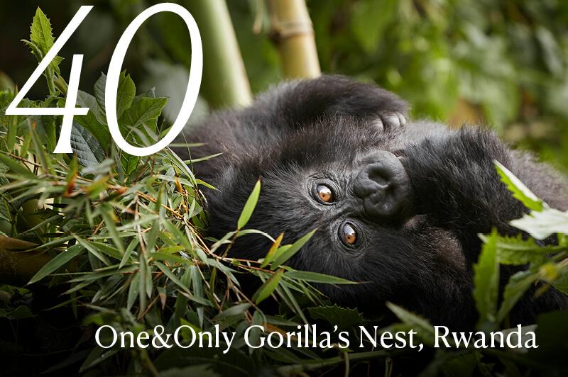 One&Only Gorilla's Nest, Rwanda, luxury travel