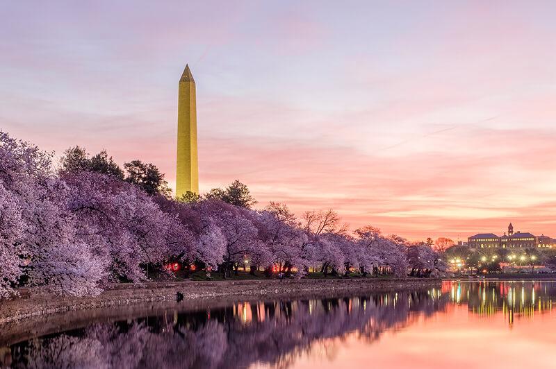 Travel Associates  Capital Culture. This is Washington, DC