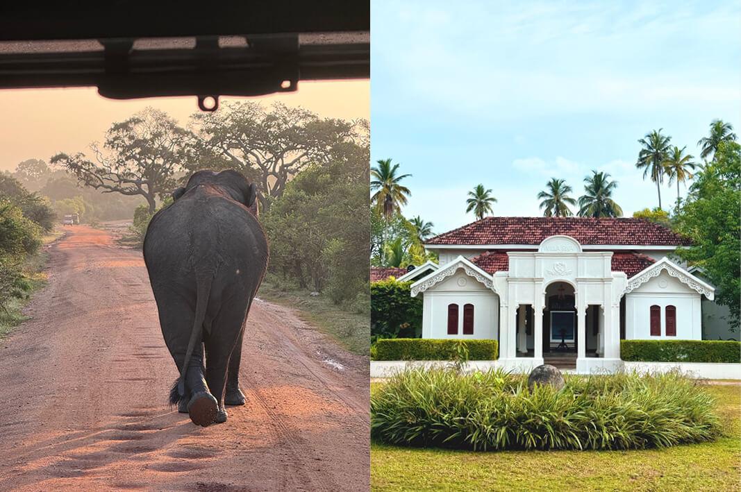 Travel Associates  From Sentosa to Safari: Amy Gerard's One-of-a-Kind Luxury Holiday 