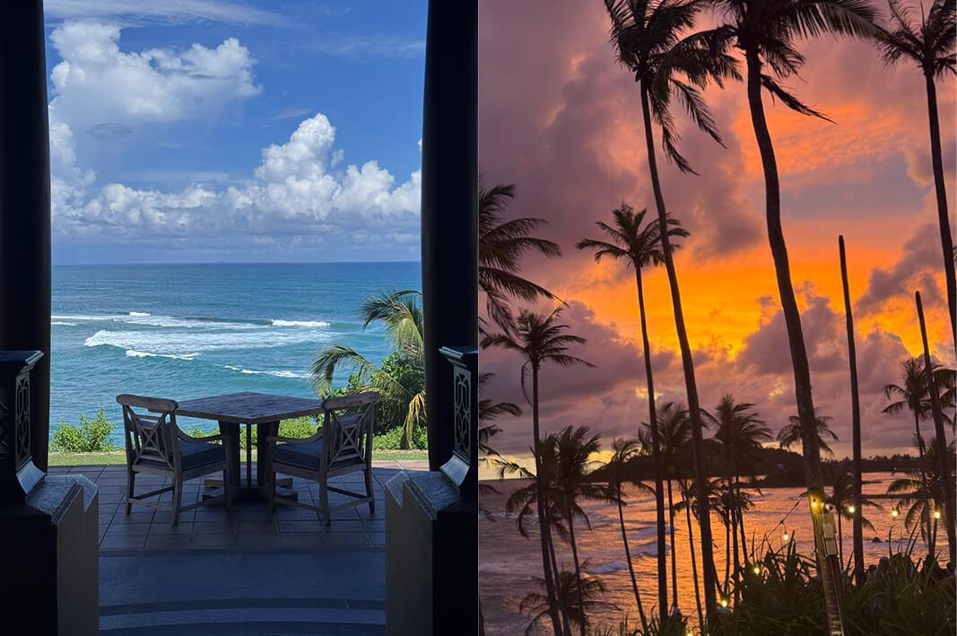 Travel Associates  From Sentosa to Safari: Amy Gerard's One-of-a-Kind Luxury Holiday 