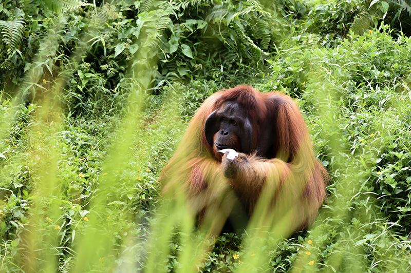 Travel Associates Ethical Wildlife Travel: See the World's Wildest (With Purpose)