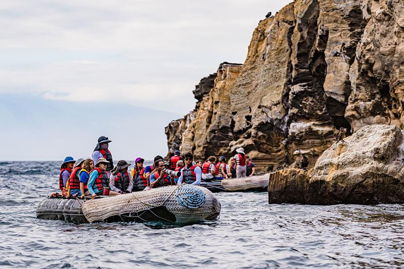 Travel Associates  Ethical Wildlife Travel: See the World's Wildest (With Purpose)