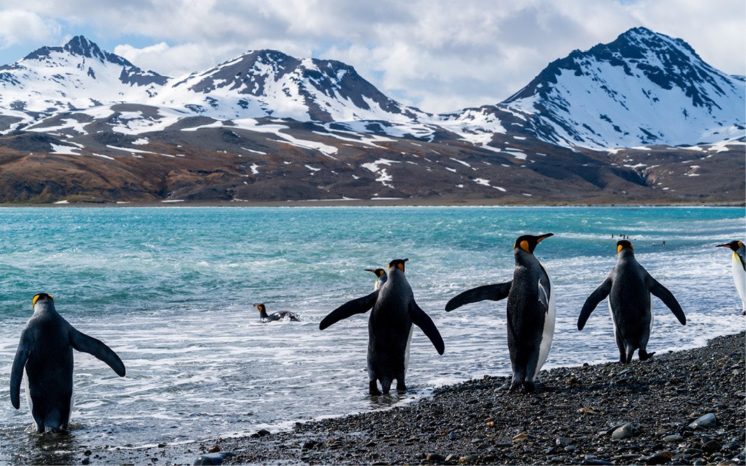 Travel Associates To be a travel expert, you need to travel