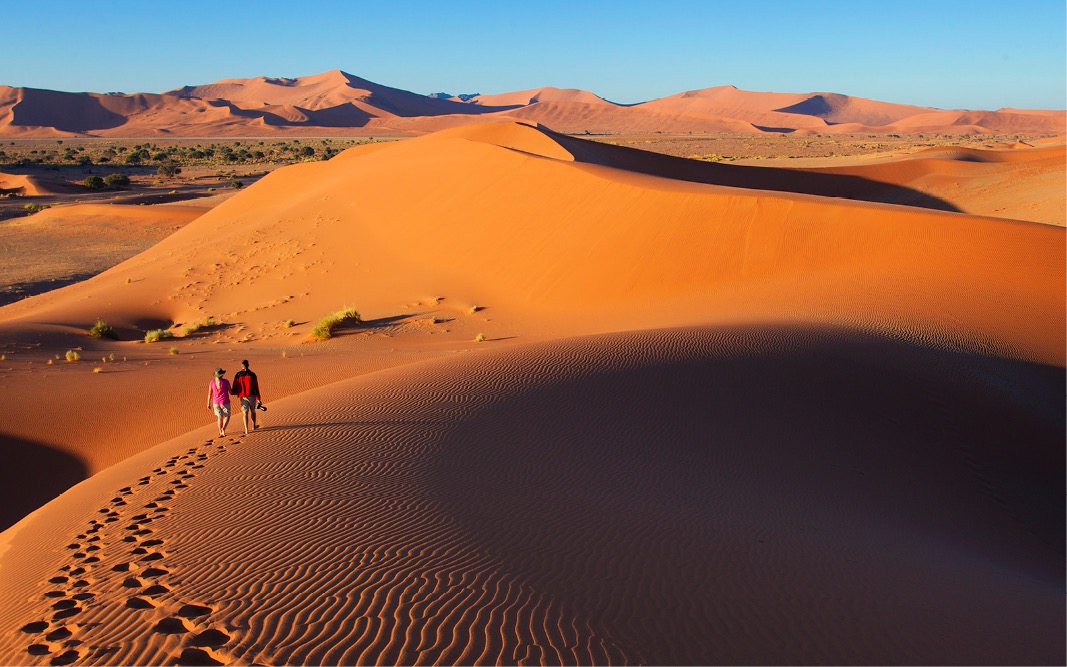 Travel Associates To be a travel expert, you need to travel