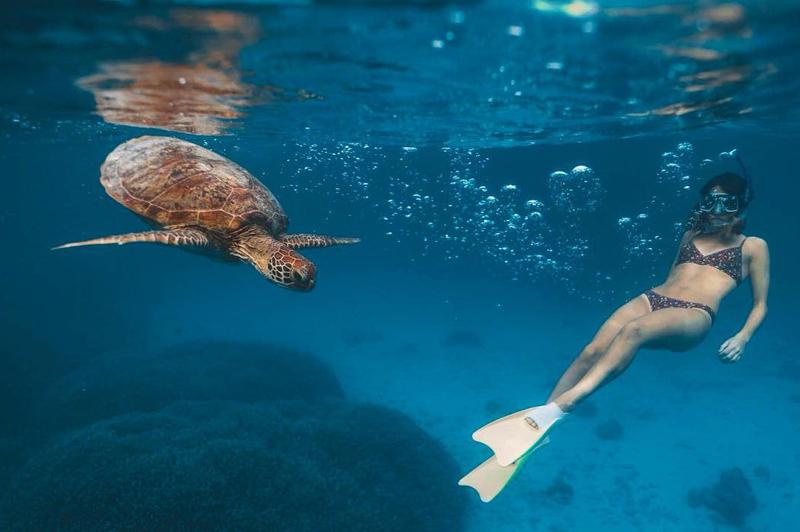 Heron Island - image by @jenrowleyyy