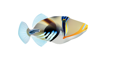 Travel Associates Uncovering the Hawaiian Islands