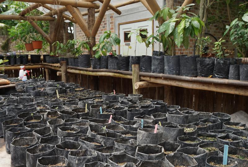 Travel Associates Bawah Reserve: Crystal Clear Waters & A Clean Conscience