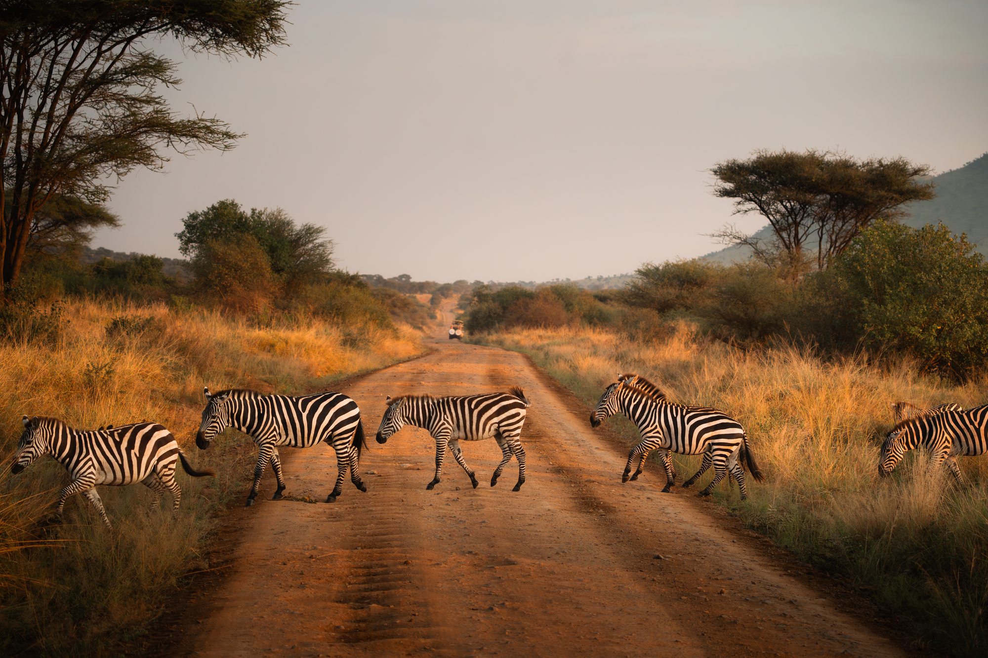 On Safari with Abercrombie & Kent: Our Advisors in Tanzania and Kenya